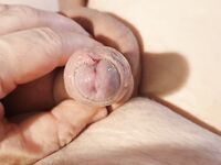 Pullerwichsi: 13 Nude Pics