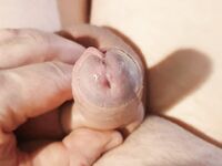 Pullerwichsi: 13 Nude Pics