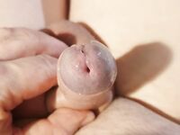 Pullerwichsi: 13 Nude Pics