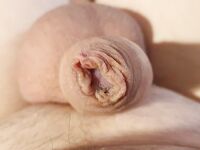 Pullerwichsi: 13 Nude Pics