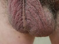 My penis up close: 20 Nude Pics