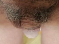 My penis up close: 20 Nude Pics