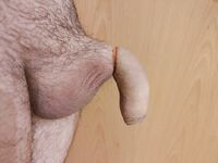 Flaccid cock banded: 17 Nude Pics