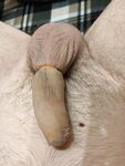 Flaccid cock banded: 17 Nude Pics