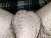 Flaccid cock banded: 17 Nude Pics
