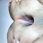 Various cock and gaping hole : 7 Nude Pics