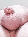 My little dickie: 8 Nude Pics