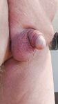 My little dickie: 8 Nude Pics