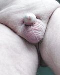 My little dickie: 8 Nude Pics