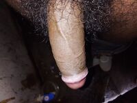 Village lund 2: 6 Nude Pics