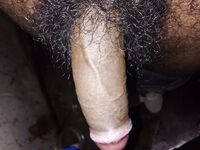 Village lund 2: 6 Nude Pics