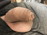 Foreskin Cock: 17 Nude Pics