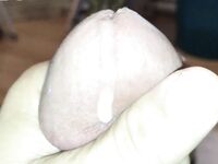 Old pic of my beautiful cock: 3 Nude Pics