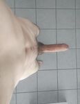 Home nude: 3 Nude Pics