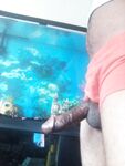 Hung : 5 Nude Pics