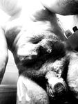 COCK DUMP : 24 Nude Pics