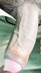 Pink Cock : 7 Nude Pics