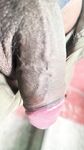 Pink Cock : 7 Nude Pics