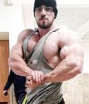 Muscles in Tank Tops Photo Album