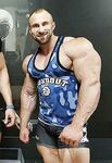 Muscles in Tank Tops Photo Album
