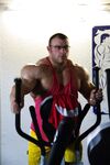 Muscles in Tank Tops Photo Album