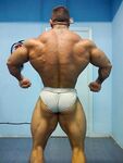 BIG BACK and NARROW WAIST Photo Album