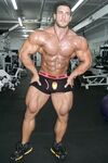 Antoine Vaillant Photo Album