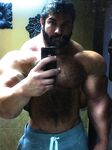 Muscle beef bear Photo Album