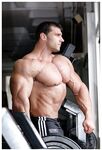 beautiful Zoltan Voros Photo Album