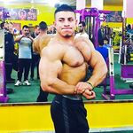 HOT MALE BODYBUILDERS. Photo Album