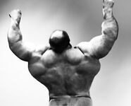 Massive Wide Back Photo Album