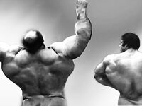 Massive Wide Back Photo Album