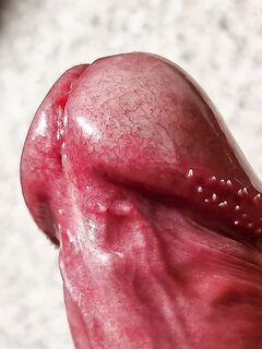 Big Dick Glans Close up: 4 Nude Pics