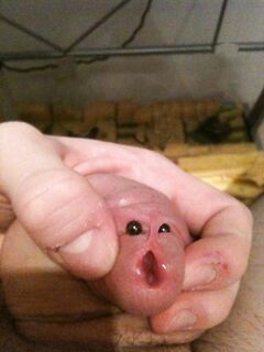 My hole completely uncut: 1 Nude Pics