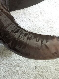 Huge gay cock: 3 Nude Pics