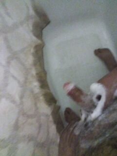 Shower: 1 Nude Pics