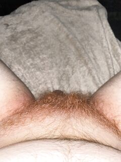 Hairy ginger cock: 15 Nude Pics