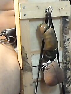 Cock Training: 51 Nude Pics