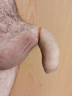 Flaccid cock banded: 17 Nude Pics