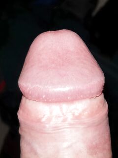 New album: 4 Nude Pics