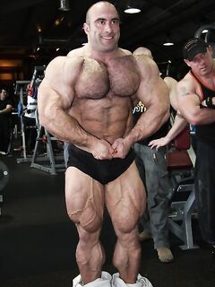 Hairy Beast Photo Album